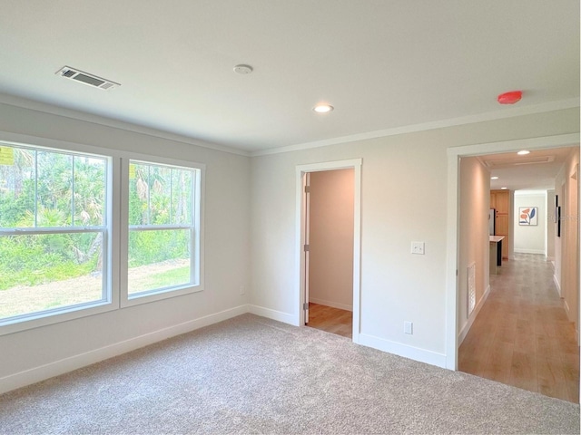 carpeted empty room with crown molding and a wealth of natural light