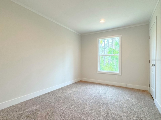 carpeted spare room featuring crown molding