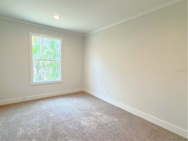 spare room featuring crown molding and carpet floors