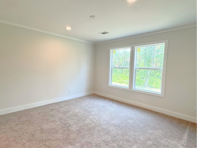 spare room featuring carpet and ornamental molding