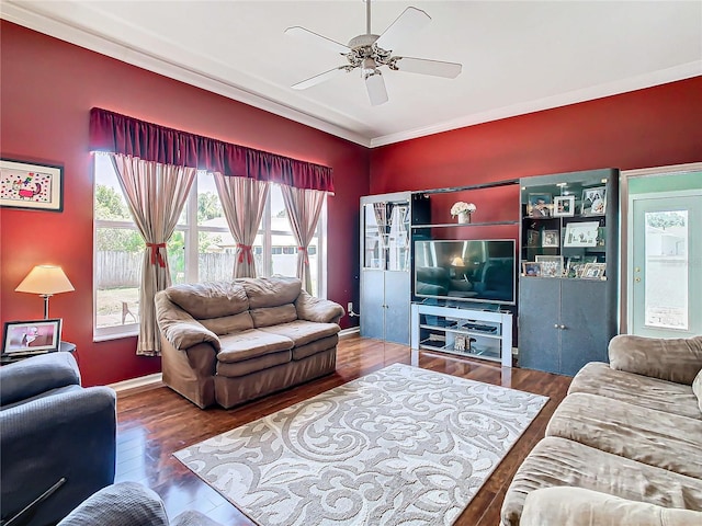 living room with ceiling fan, dark wood-type flooring, and ornamental molding