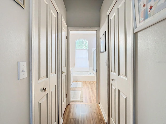 hall featuring light hardwood / wood-style flooring