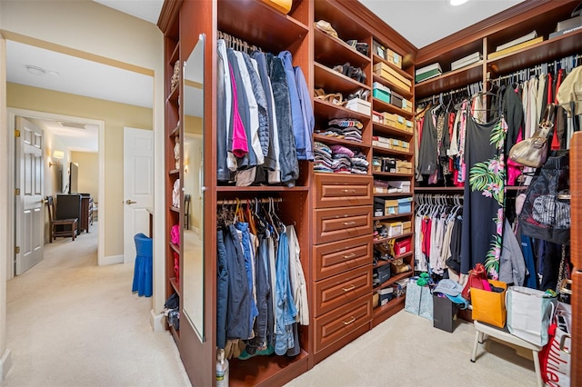 spacious closet featuring light colored carpet