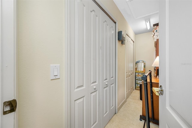 5510 E Longboat Blvd, Tampa, FL 33615 - hall featuring light carpet