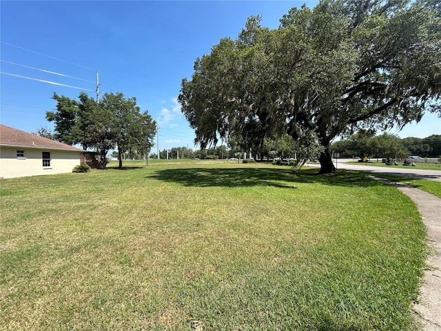 Listing photo 2 for Silver Oaks Dr, Zephyrhills FL 33542