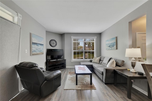 living room with hardwood / wood-style floors