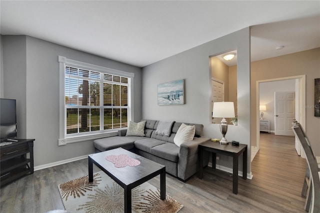 living room with dark wood-type flooring