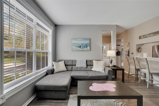 living room with dark wood-type flooring