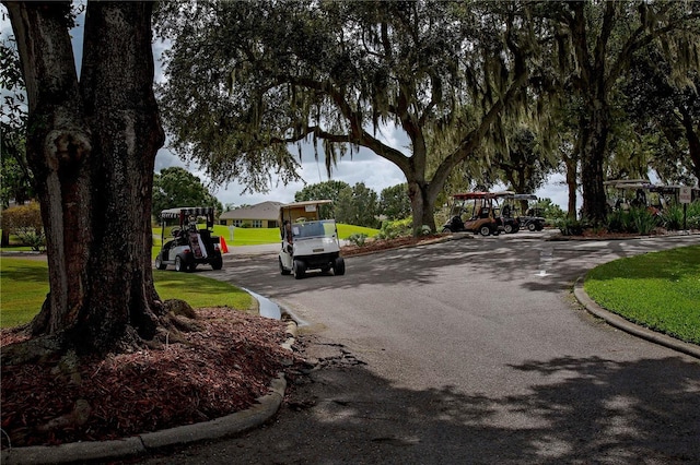 view of street featuring curbs