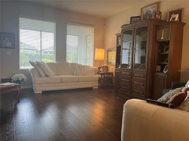 living room with dark wood-type flooring