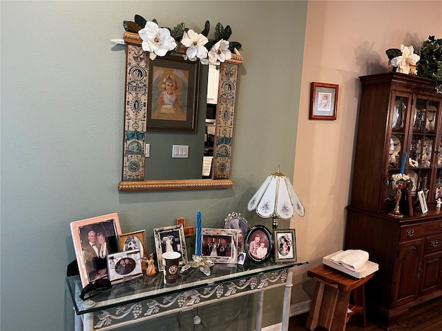 room details featuring hardwood / wood-style flooring