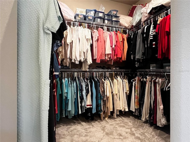 walk in closet with carpet