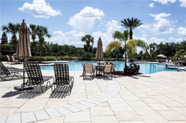 view of swimming pool with a patio