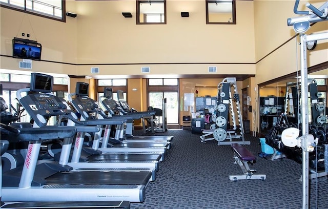 workout area with a high ceiling and carpet