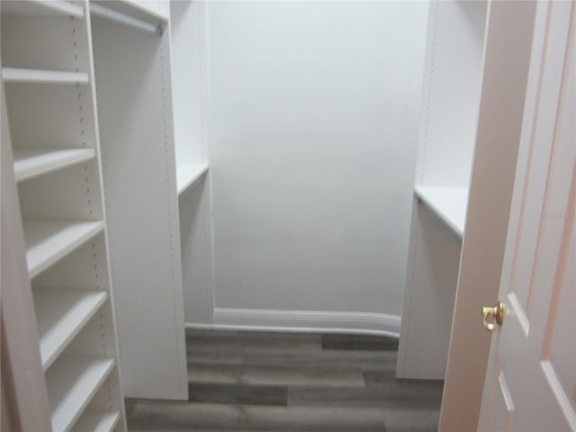 spacious closet featuring dark hardwood / wood-style floors