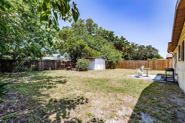 view of yard with a patio area and a shed