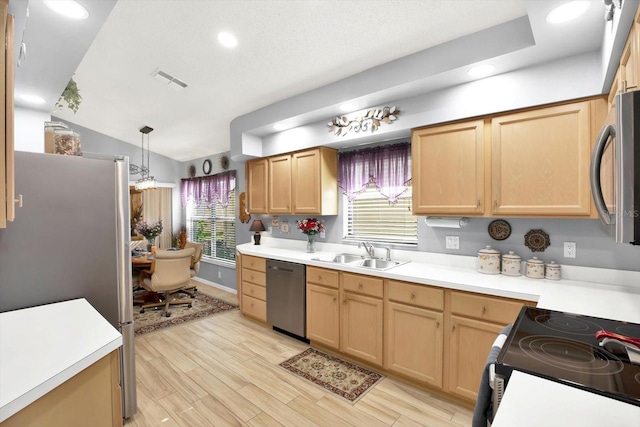 kitchen featuring hanging light fixtures, stainless steel appliances, light hardwood / wood-style floors, and sink