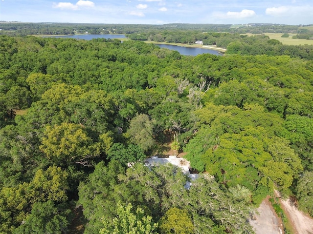 bird's eye view with a water view and a forest view