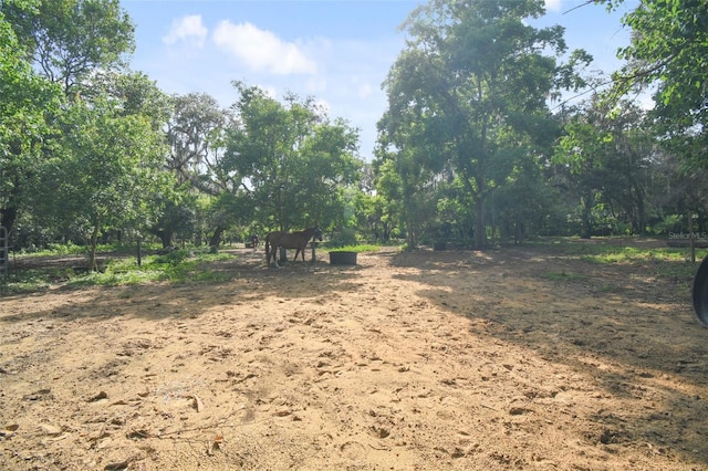 view of landscape with a rural view