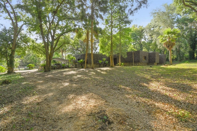view of yard featuring driveway and a detached carport