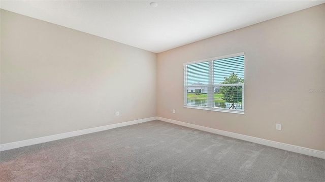 spare room featuring carpet floors