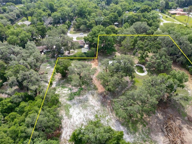 7813 Valrie Ln, Riverview, FL 33569 - view of birds eye view of property