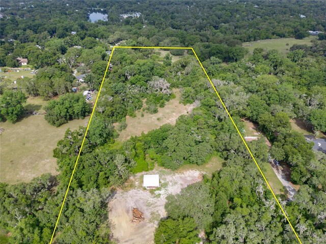 7813 Valrie Ln, Riverview, FL 33569 - view of aerial view