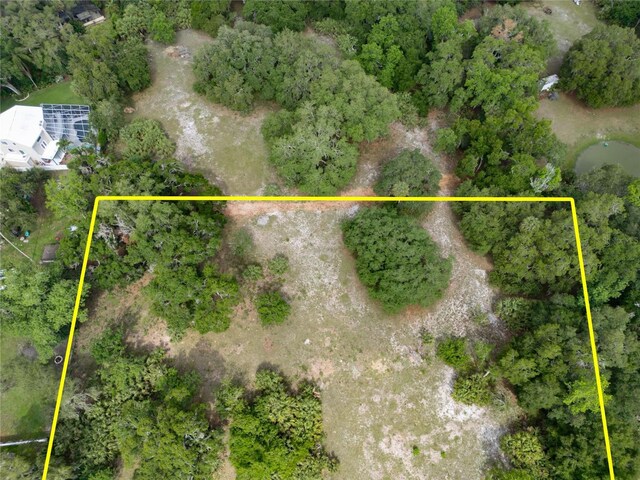 7813 Valrie Ln, Riverview, FL 33569 - view of bird's eye view