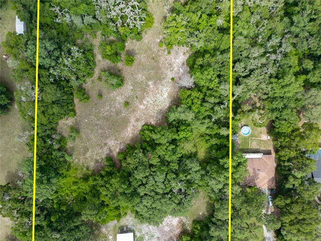 7813 Valrie Ln, Riverview, FL 33569 - view of bird's eye view