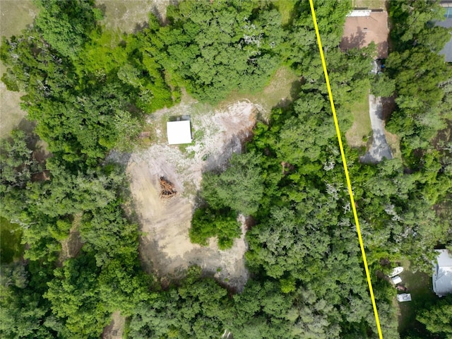 7813 Valrie Ln, Riverview, FL 33569 - view of bird's eye view