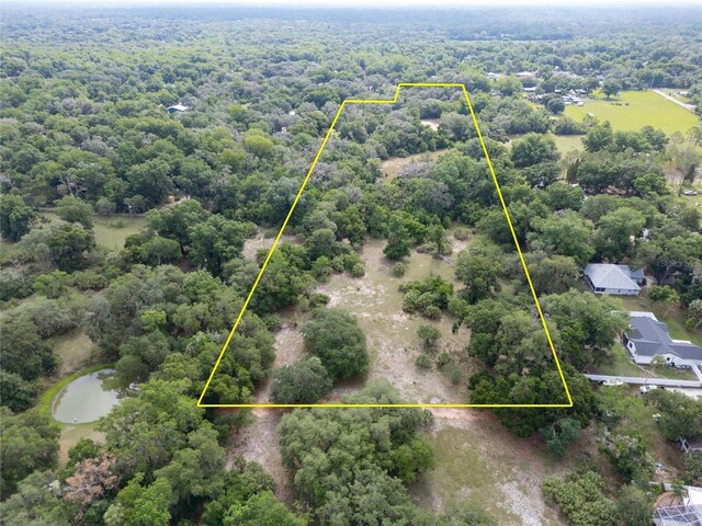 7813 Valrie Ln, Riverview, FL 33569 - view of birds eye view of property