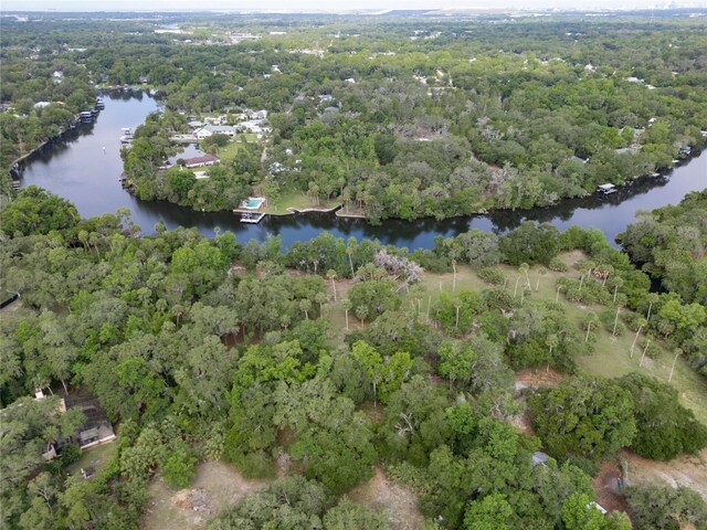 7813 Valrie Ln, Riverview, FL 33569 - birds eye view of property featuring a water view