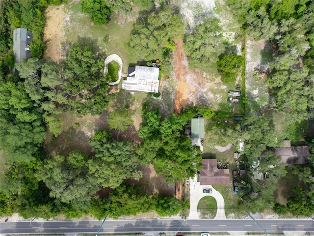 7813 Valrie Ln, Riverview, FL 33569 - view of drone / aerial view