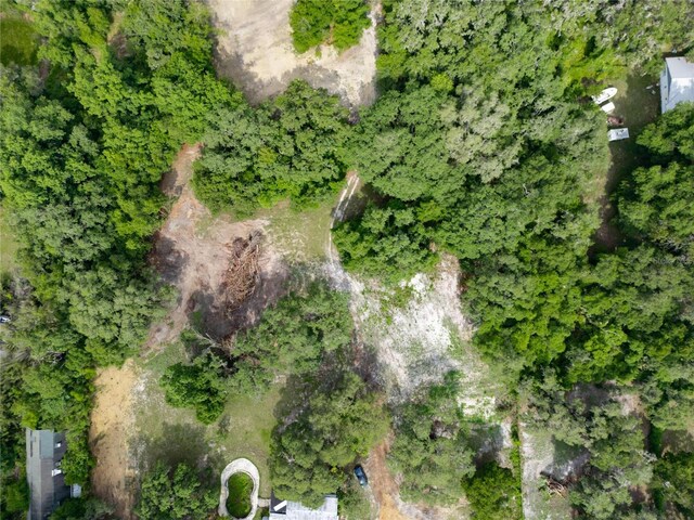 7813 Valrie Ln, Riverview, FL 33569 - view of birds eye view of property