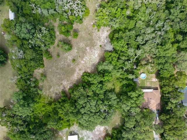 7813 Valrie Ln, Riverview, FL 33569 - view of drone / aerial view