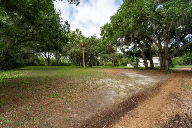 7813 Valrie Ln, Riverview, FL 33569 - view of yard