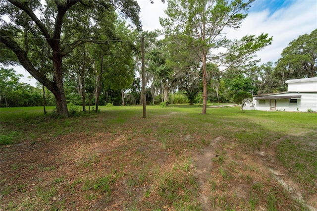 7813 Valrie Ln, Riverview, FL 33569 - view of yard