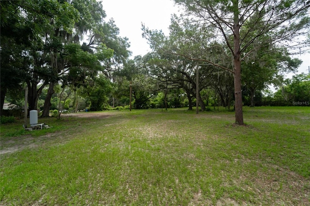 7813 Valrie Ln, Riverview, FL 33569 - view of yard