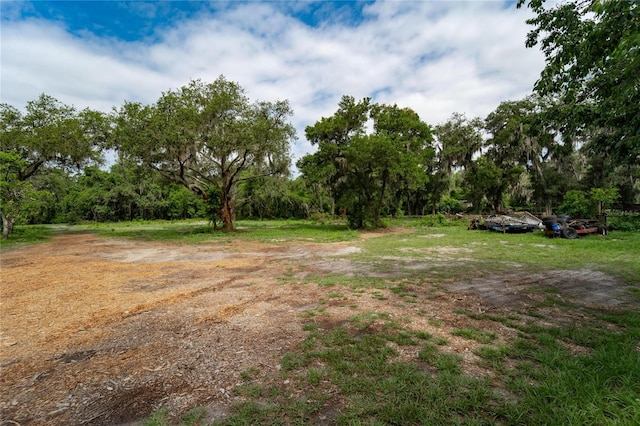 7813 Valrie Ln, Riverview, FL 33569 - view of yard
