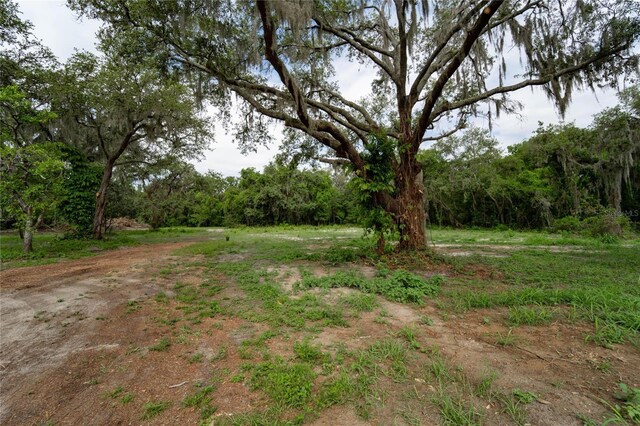 7813 Valrie Ln, Riverview, FL 33569 - view of yard