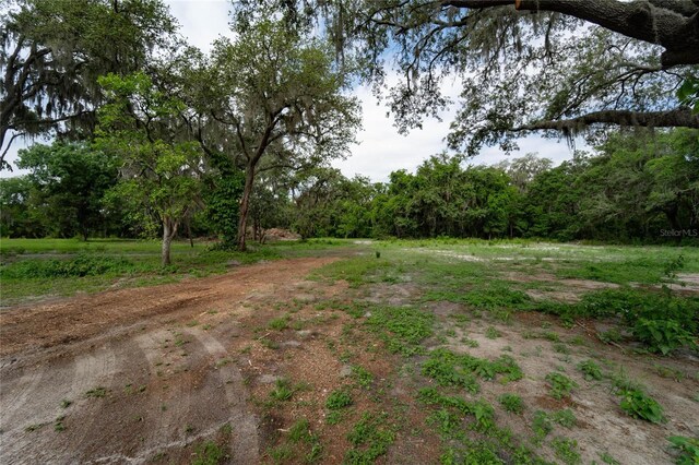 7813 Valrie Ln, Riverview, FL 33569 - view of yard