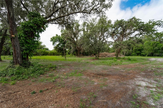 7813 Valrie Ln, Riverview, FL 33569 - view of yard