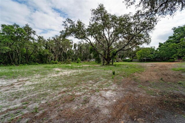 7813 Valrie Ln, Riverview, FL 33569 - view of yard