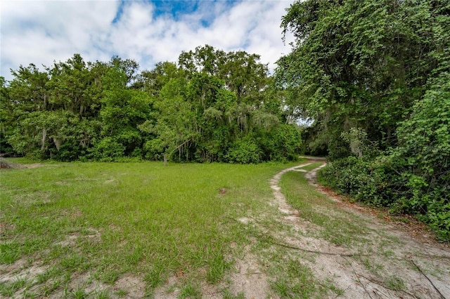 7813 Valrie Ln, Riverview, FL 33569 - view of yard