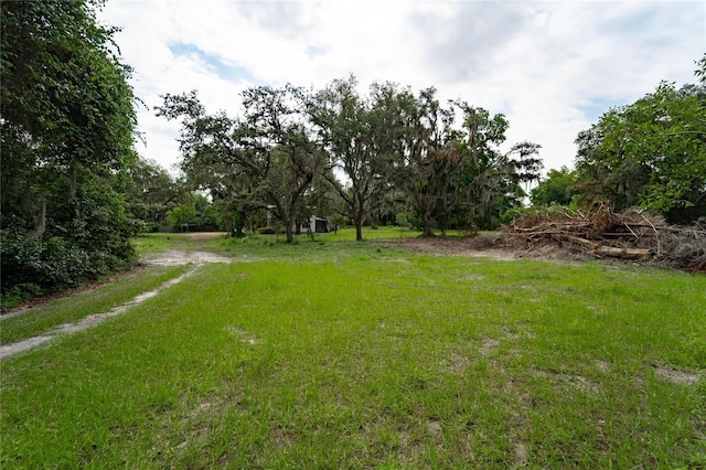 7813 Valrie Ln, Riverview, FL 33569 - view of yard