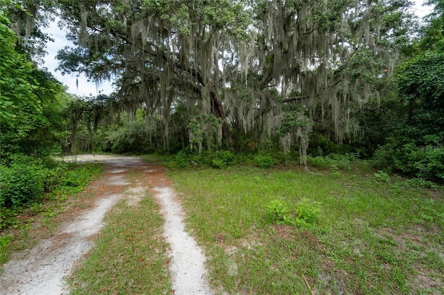 7813 Valrie Ln, Riverview, FL 33569 - view of road