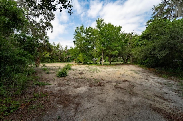 7813 Valrie Ln, Riverview, FL 33569 - view of local wilderness