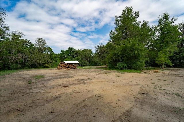 7813 Valrie Ln, Riverview, FL 33569 - view of yard