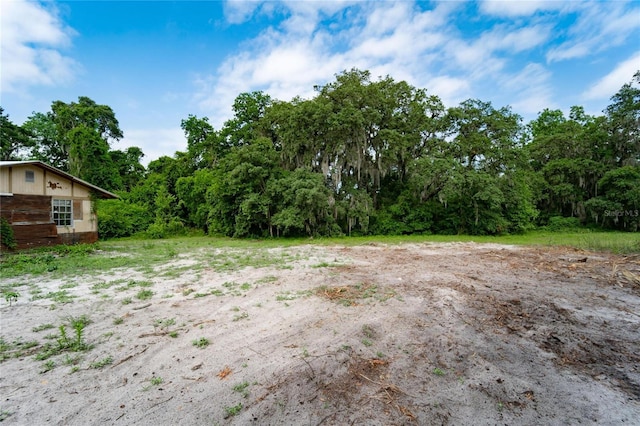 7813 Valrie Ln, Riverview, FL 33569 - view of yard