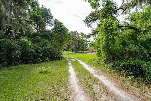 7813 Valrie Ln, Riverview, FL 33569 - view of street
